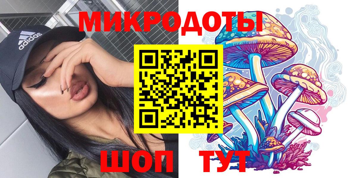 Галлюциногенные грибы Psilocybe Тобольск